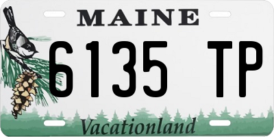 ME license plate 6135TP