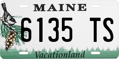 ME license plate 6135TS