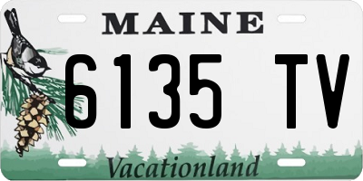 ME license plate 6135TV
