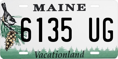 ME license plate 6135UG