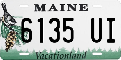 ME license plate 6135UI