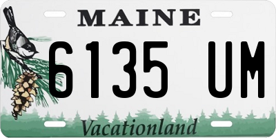 ME license plate 6135UM