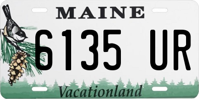 ME license plate 6135UR