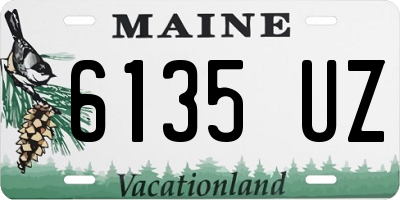 ME license plate 6135UZ