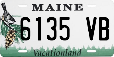 ME license plate 6135VB