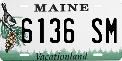 ME license plate 6136SM