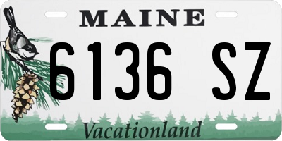 ME license plate 6136SZ