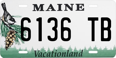 ME license plate 6136TB