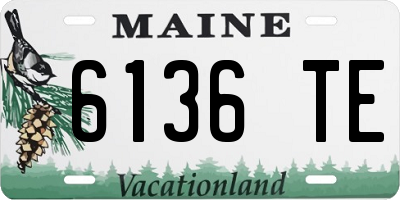 ME license plate 6136TE