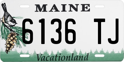 ME license plate 6136TJ