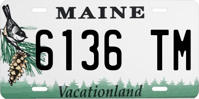 ME license plate 6136TM