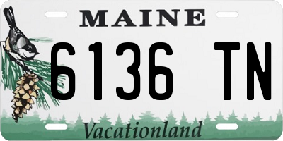 ME license plate 6136TN