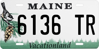 ME license plate 6136TR