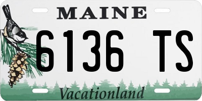 ME license plate 6136TS
