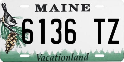 ME license plate 6136TZ