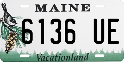 ME license plate 6136UE