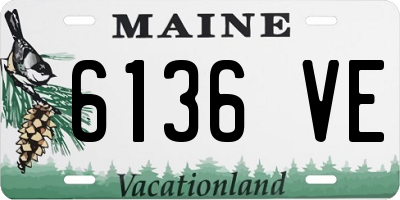 ME license plate 6136VE