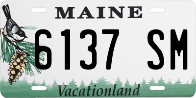 ME license plate 6137SM
