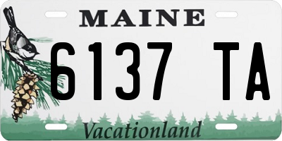 ME license plate 6137TA