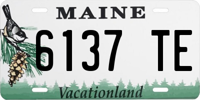 ME license plate 6137TE