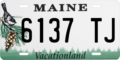 ME license plate 6137TJ