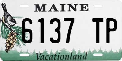 ME license plate 6137TP