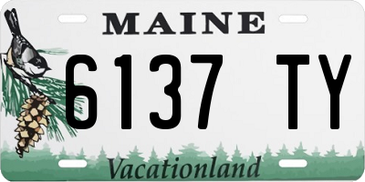 ME license plate 6137TY