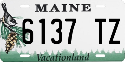 ME license plate 6137TZ