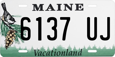 ME license plate 6137UJ