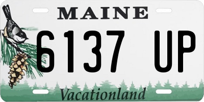 ME license plate 6137UP