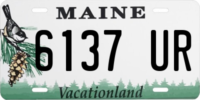 ME license plate 6137UR