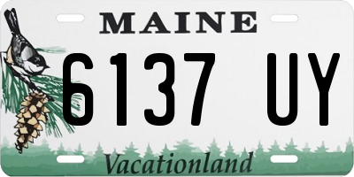 ME license plate 6137UY