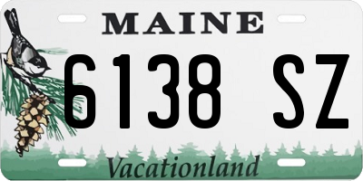 ME license plate 6138SZ