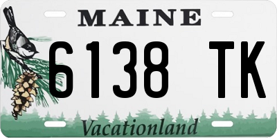 ME license plate 6138TK