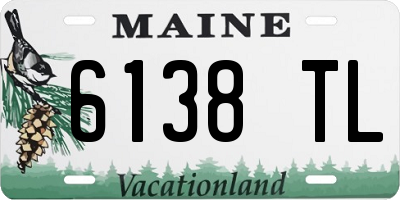 ME license plate 6138TL