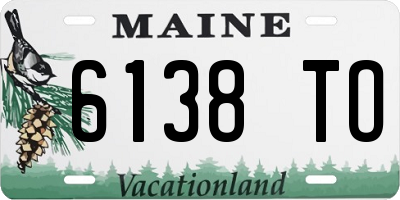 ME license plate 6138TO