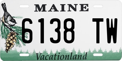 ME license plate 6138TW