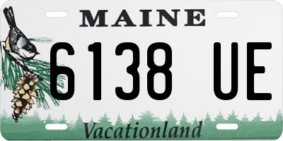 ME license plate 6138UE