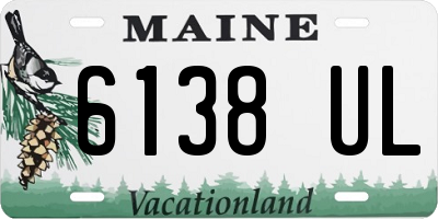 ME license plate 6138UL