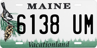 ME license plate 6138UM