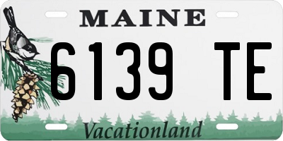ME license plate 6139TE