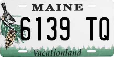 ME license plate 6139TQ