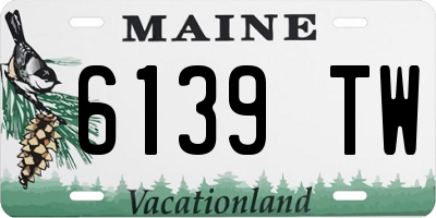 ME license plate 6139TW
