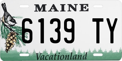 ME license plate 6139TY