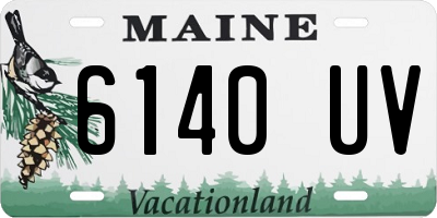ME license plate 6140UV