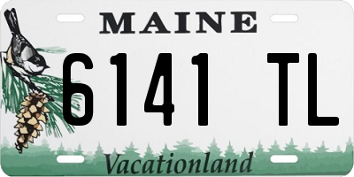 ME license plate 6141TL