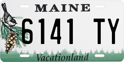 ME license plate 6141TY