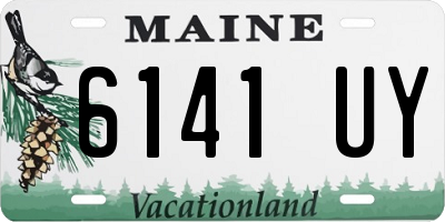 ME license plate 6141UY