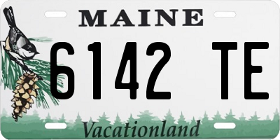 ME license plate 6142TE