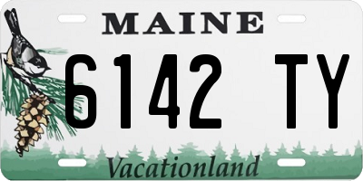 ME license plate 6142TY